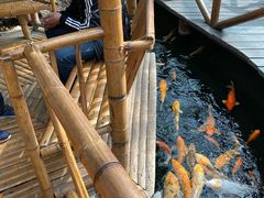 -上海大自然野生昆虫馆(东方明珠·爬宠昆虫探索中心)