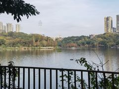 -重庆彩云湖湿地公园