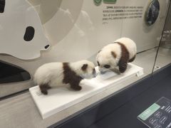 -四川大学博物馆