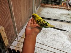 -上海大自然野生昆虫馆