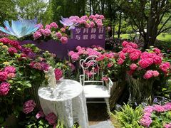 -上海滨江森林公园