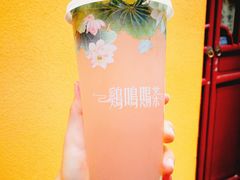 柠檬芭乐-喜乐茶-鸡鸣赐茶(鸡鸣寺路店)