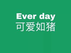 -茶花妹子云南餐厅(传媒大学店)