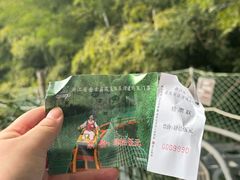 -藏龙百瀑风景区