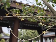 -惠州西湖丰渚园
