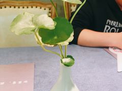 -野蔓果·山野菜(西湖景区·龙井茶田店)