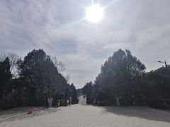 -十三陵水库