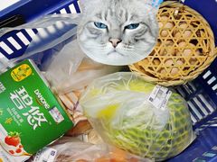 -农工商超市(金沙江路店)