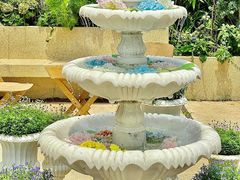 -苏小糖(鼓浪屿三丘田花园店)