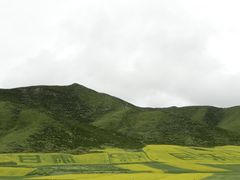 -扁都口生态休闲旅游区