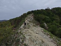 -北京鹫峰国家森林公园