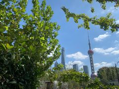 -Wolfgang’s Steakhouse 沃夫冈牛排馆(上海白玉兰广场店)