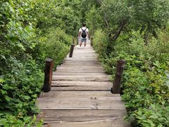 -白草畔自然风景区