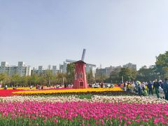 -大宁公园