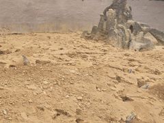 -杭州野生动物世界