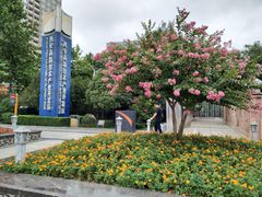 -唐城墙遗址公园