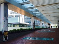 -香港大学