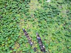 -洪湖生态旅游区