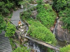 -东莞市大岭山森林公园