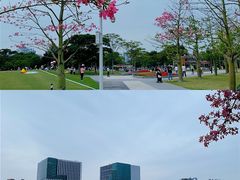 -海心沙亚运公园