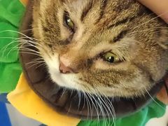 -平行世界·猫咖(首经贸店)