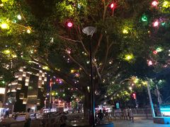 -宝安西湾红树林湿地公园