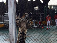 -泉州海丝野生动物世界