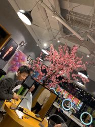 -时尚殿堂明星门店