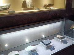 -安徽省地质博物馆