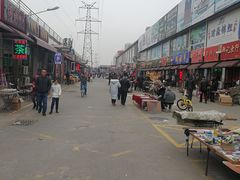 -中环花鸟鱼虫市场