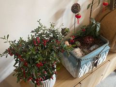 -山也·私厨(岳麓店)