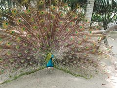 -荆州中山公园动物园