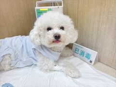 -北京观赏动物医院·24小时大型综合·猫专科·异宠专科