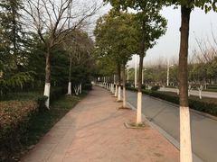 -南京信息职业技术学院