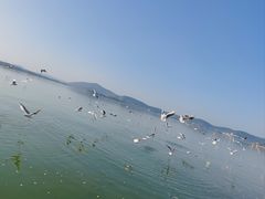 -蠡湖大桥公园