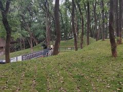 -马王堆汉墓遗址