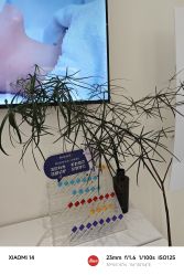 -安那般那皮肤年轻化ANAPANA