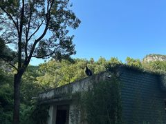 -柳州市动物园