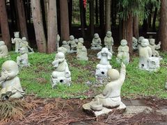 -武陵山森林公园