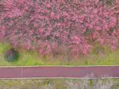 -四里河滨水生态公园