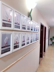 -玛尼瑜伽·普拉提