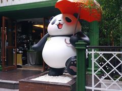 -轩客会(熊猫书店)