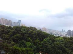 -金鸡山公园