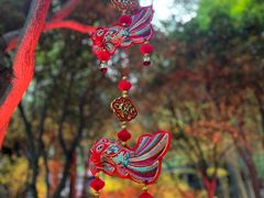 -杭州黄龙洞