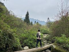 -龙窝子