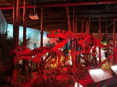 -正佳自然科学博物馆