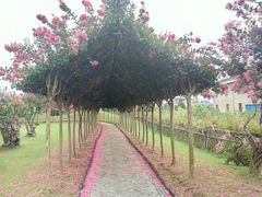 -南通洲际绿博园