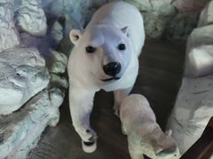 -烟台海昌鲸鲨海洋公园