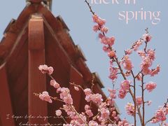 -梅花山(明孝陵内)