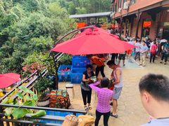 -将军关探险漂流